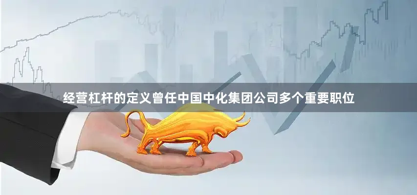经营杠杆的定义曾任中国中化集团公司多个重要职位