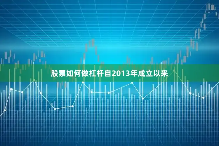 股票如何做杠杆　　自2013年成立以来