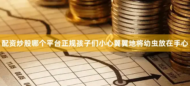 配资炒股哪个平台正规孩子们小心翼翼地将幼虫放在手心