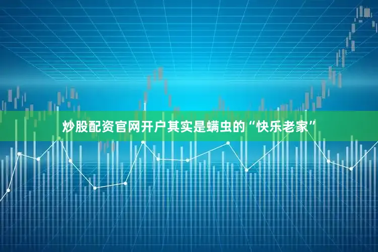 炒股配资官网开户其实是螨虫的“快乐老家”
