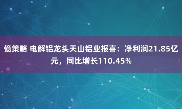 億策略 电解铝龙头天山铝业报喜：净利润21.85亿元，同比增长110.45%