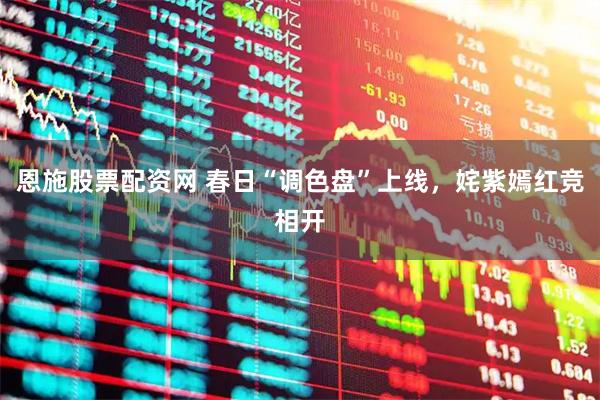恩施股票配资网 春日“调色盘”上线，姹紫嫣红竞相开