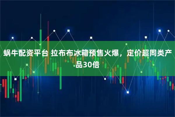 蜗牛配资平台 拉布布冰箱预售火爆，定价超同类产品30倍
